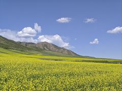 -扁都口生态休闲旅游区