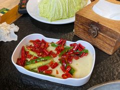 -友乐居羊蝎子(西直门店)