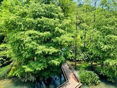 -云溪植物园