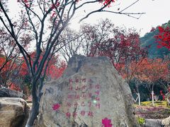 -广州市帽峰山景区