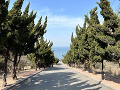 -养马岛旅游度假区
