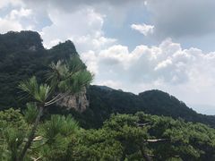 -王顺山国家森林公园