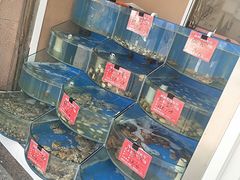 水产区-北戴河庆山饭店·海鲜砂锅粥(北戴河黑石路店)