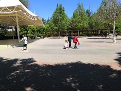 -庄怡公园