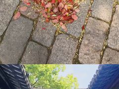 门面-秦园惠山豆腐花(惠山古镇店)