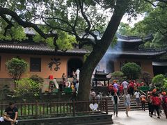 -普陀山风景名胜区-法雨禅寺