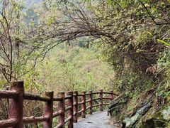 -汉中石门栈道风景区