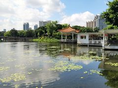 -荔湾湖公园