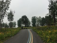 -白鹭湾湿地公园