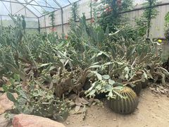 -苏州太湖西山岛开心农场