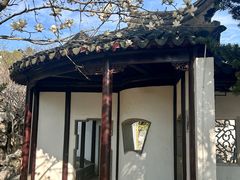-八大山人梅湖景区