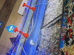 -蒙肥羊·酸汤潮牛·鲜牛肉火锅烤肉自助(岗顶店)