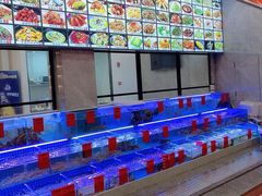 水产区-洲晓鲜·舟山海鲜大排档(朱家尖风景区店)