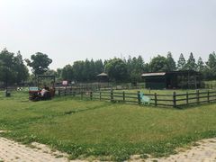 -田园东方蜜桃村的田野营地