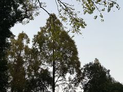 -南京晨光1865创意产业园