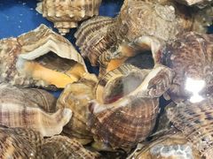 -三亚火车头万人海鲜广场