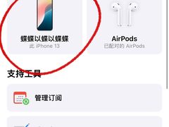 -Apple零售店(深圳益田假日广场店)