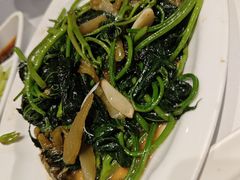 -眉州东坡(民族园店)