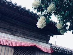 -瞿昙寺