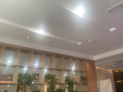 -碧莲盛·不剃发植发