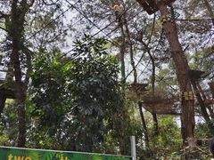 -芦仙山景区-飞越丛林探险乐园