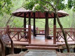 -大亚湾红树林城市湿地公园