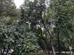 -元大都城垣遗址公园