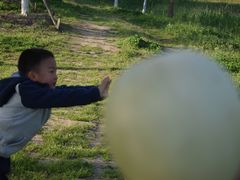 -昆山城市生态森林公园