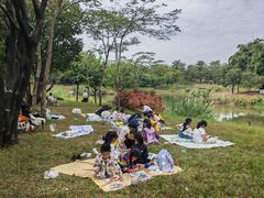 -王借岗森林公园