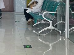 -乖乖乐动物医院(小汤山分院)