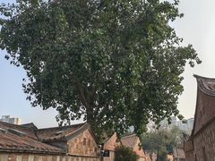 -晋江五店市传统文化旅游区