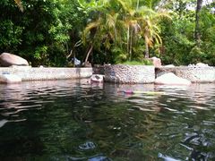 -三亚珠江南田温泉度假区