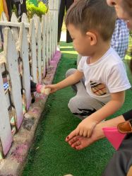 -萌宠亲子动物乐园(槐房万达店)