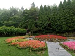 -庐山风景区花径公园