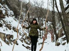 -大岭沟猕猴桃谷风景区