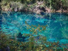 -叠溪松坪沟景区
