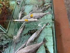 水产区-寻味顺德·南记酒家·传统顺德菜·鱼生(广源路店)