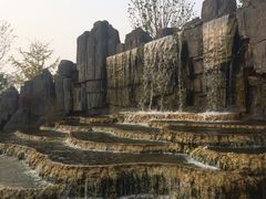 -武清南湖绿博园