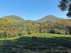 -杭州少年儿童公园