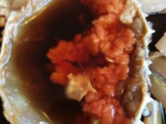 -老吉堂上海本帮菜(望京万象汇店)