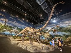 -自贡恐龙博物馆