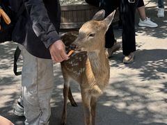 -波塞冬旅游度假区