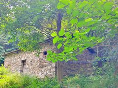 -素山寺森林公园