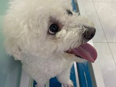 -达爱动物医院·犬猫分区·CT·复杂眼科(远洋山水分院)