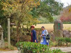 -白马涧龙池景区