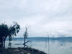 -大理洱海