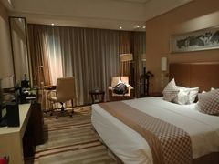 -电谷雅阁国际大酒店