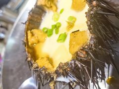 -蚝堡·生蚝海鲜烧烤物种起源•海肠捞饭(刘公岛店)
