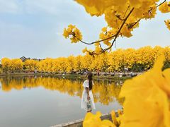 -佛山市三水温泉度假村