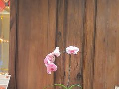 -嘉华鲜花饼·现烤(昆明老街店)